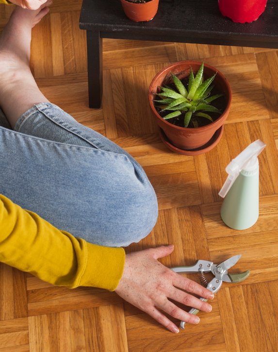 Top rated Eco Friendly Vinyl Flooring store